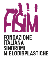 FISIM